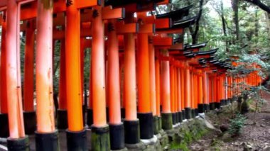 Japonya, Kyoto 'daki Inari tapınağının manzaralı görüntüleri