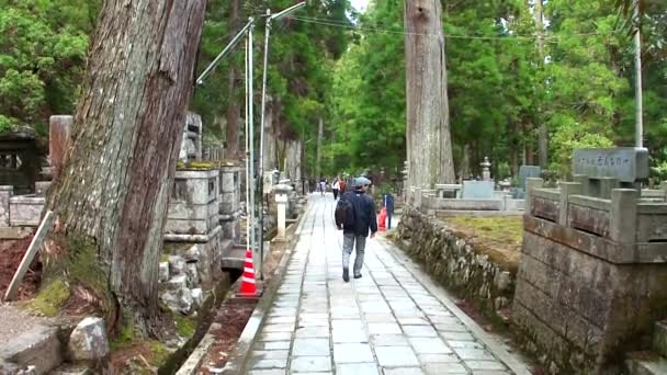 Koyasan Japón Marzo Cementerio Okunoin Monte Koya Marzo 2014 Koyasan — Vídeo de stock