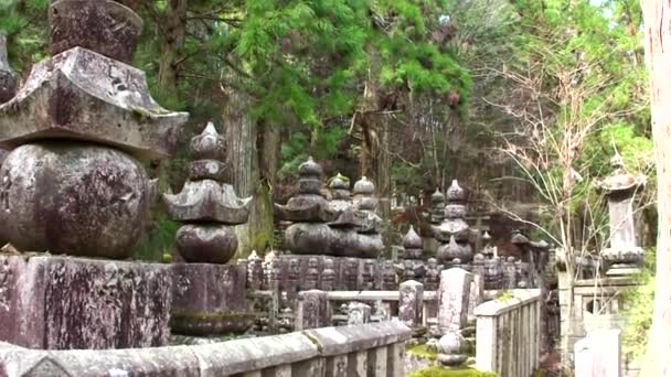 Koyasan Japan March Кладовище Окунін Горі Коя Березня 2014 Року — стокове відео