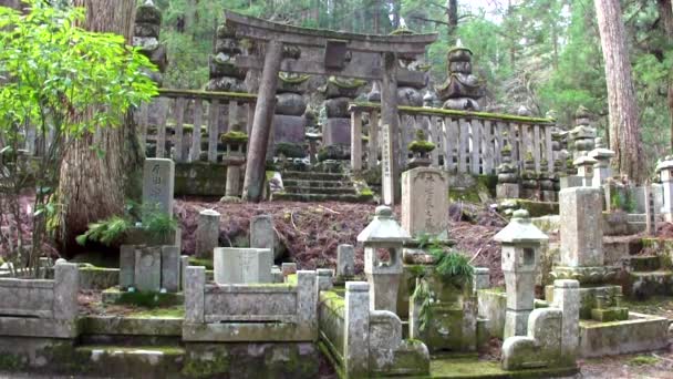 Koyasan Japan March Okunoin Cemetery Mount Koya March 2014 Koyasan — 图库视频影像