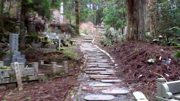 Koyasan Giappone Marzo Cimitero Okunoin Sul Monte Koya Marzo 2014 — Video Stock