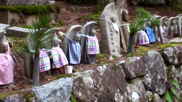 Koyasan Giappone Marzo Cimitero Okunoin Sul Monte Koya Marzo 2014 — Video Stock