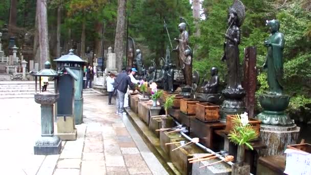 Koyasan Japan March Okunin Cemetery Koya March 2014 Koyasan Japan — 비디오