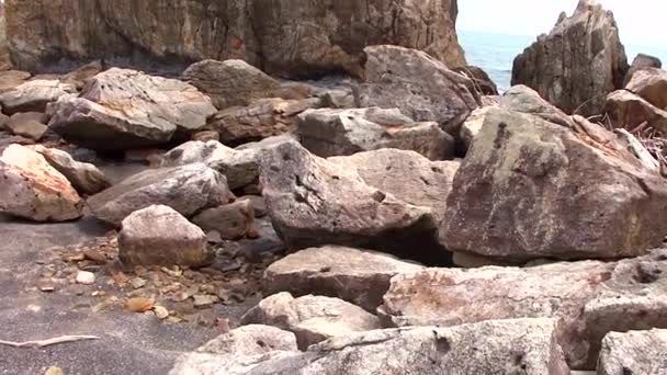 Kushimoto Wakayama Prefecture Japan Coastline Hashi Gui Iwa Rocks — Stock Video