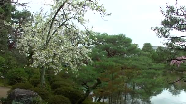 Zen Garden Heian Jingu Shrine Kyoto Japan — Vídeo de stock