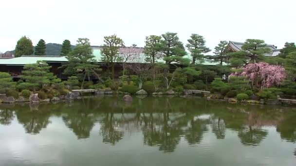 Zen Garden Heian Jingu Shrine Kyoto Japan — Stock Video