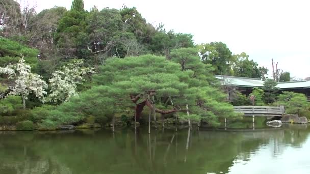 Zen Garden Heian Jingu Shrine Kyoto Japan — Stock videók