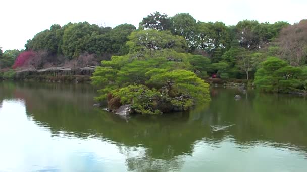 Zen Garden Heian Jingu Shrine Kyoto Japan — Stock videók