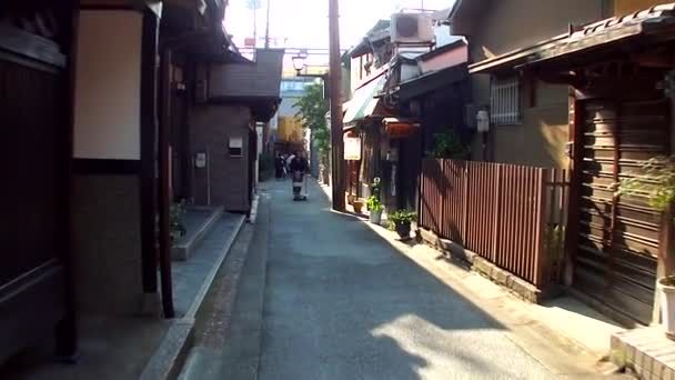 Schöne Reiseaufnahmen Von Den Straßen Der Stadt Nara Japan — Stockvideo