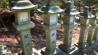 NARA, JAPONYA - 28 Mart 2014 'te Japonya' nın Nara kentindeki Kasuga Taisha Tapınağında taş fenerler. Kasuga Tapınağı ve çevresindeki Kasugayama Ormanı UNESCO Dünya Mirası Alanı olarak kayıtlıdır..