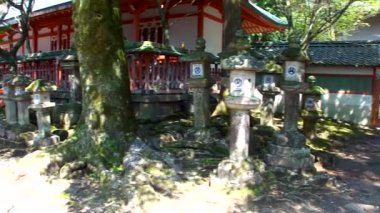 NARA, JAPONYA - 28 Mart 2014 'te Japonya' nın Nara kentindeki Kasuga Taisha Tapınağında taş fenerler. Kasuga Tapınağı ve çevresindeki Kasugayama Ormanı UNESCO Dünya Mirası Alanı olarak kayıtlıdır..