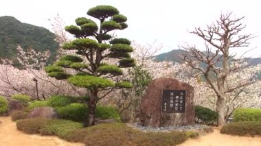 Nachisan Seigantoji Tapınağı, Nachikatsuura, Japonya