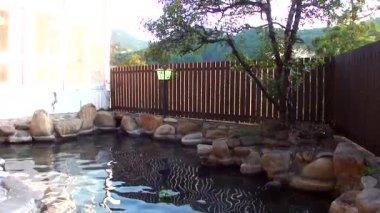 Geleneksel Japon iç mekanının görüntüleri