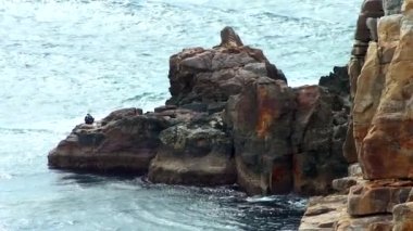 Sandanbeki Cliffs, Shirahama, Wakayama Prefecture, Japan. Sandanbeki consists of three steep cliffs with a large network of caves at water level.