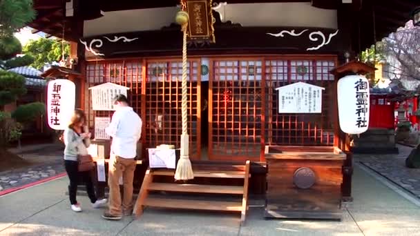 Scenic Footage Goryo Jinja Shrine Nara Japonia — Wideo stockowe