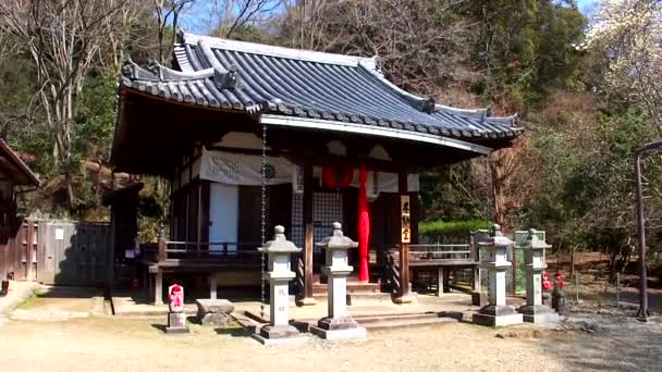 Nara Japan Mars Byggnaderna Kasuga Taisha Helgedomen Mars 2014 Nara — Stockvideo