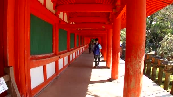 Images Panoramiques Sanctuaire Kasuga Taisha Nara Japon — Video