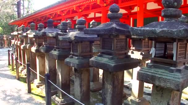 Nara Japón Marzo Linternas Piedra Santuario Kasuga Taisha Marzo 2014 — Vídeos de Stock