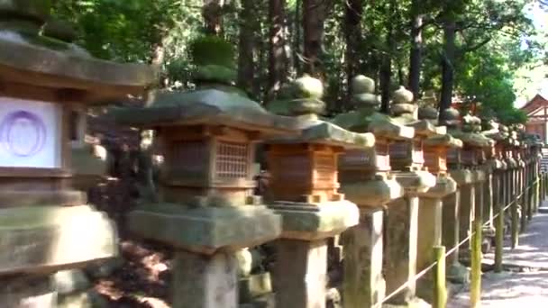 Nara Japan March Stone Lanterns Kasuga Taisha Shrine March 2014 — стокове відео