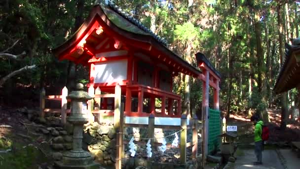 Scenic Footage Kasuga Taisha Shrine Nara Japan — Stock Video