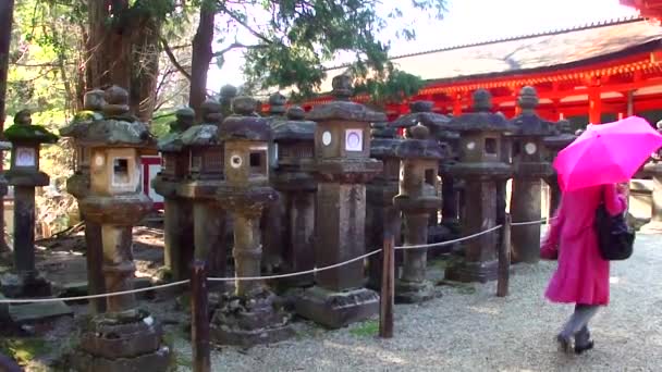 Nara Japón Marzo Linternas Piedra Santuario Kasuga Taisha Marzo 2014 — Vídeos de Stock