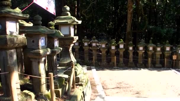 Nara Japón Marzo Linternas Piedra Santuario Kasuga Taisha Marzo 2014 — Vídeo de stock