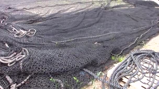 Kushimoto Japan April Fishing Nets April 2014 Kushimoto Japan Fishing — Vídeo de Stock