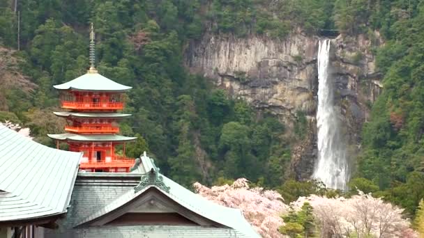 Nachi Japan March Nachisan Seigantoji Temple March 2014 Nachi Japan — Stockvideo