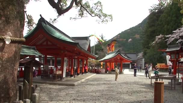 Nachi Japan March Unidentified People Nachisan Seigantoji Temple March 2014 — Stockvideo