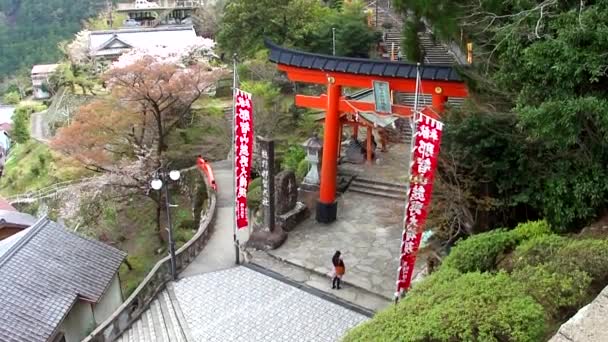 Świątynia Nachisan Seigantoji Nachikatsuura Japonia — Wideo stockowe