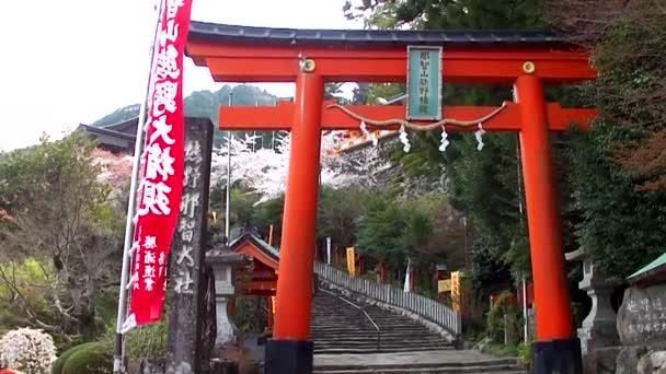Nachisan Seigantoji Temple Nachikatsuura Japan — Stockvideo