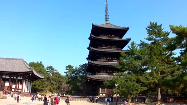 Bilder Från Det Vackra Gamla Templet Nara Japan — Stockvideo