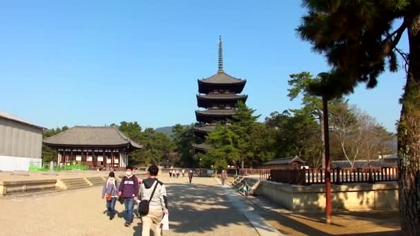 Imágenes Hermoso Templo Antiguo Nara Japón — Vídeos de Stock