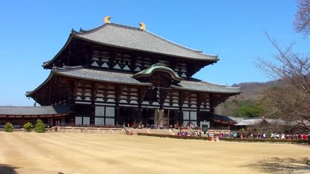 Imágenes Hermoso Templo Antiguo Nara Japón — Vídeos de Stock