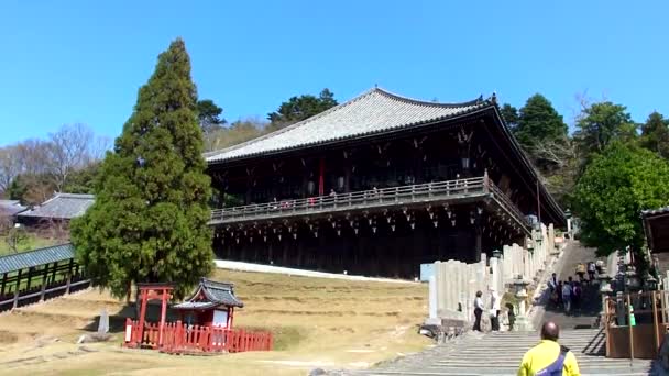 Japonya Nara Daki Güzel Antik Tapınağın Görüntüleri — Stok video