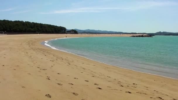 Живописные Кадры Красивого Пляжа Tanabe Япония — стоковое видео