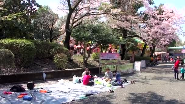 Tokyo Giappone Aprile Festa Dei Fiori Ciliegio Ueno Park Aprile — Video Stock