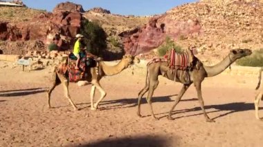 Petra, Jordan, circa 2016: the ruins and surroundings of Petra, capital of the Nabataean Arabs, famous historical and archaeological city in Jordan.