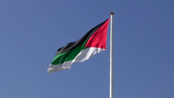 Bandeira Revolta Árabe Aquaba Jordânia — Vídeo de Stock