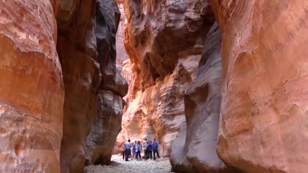 Petra Jordan Circa 2016 Ruins Surroundings Petra Capital Nabataean Arabs — 비디오