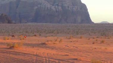 Ürdün 'ün Haşim Krallığı' ndaki Wadi Rum çölünde Ay Vadisi olarak da bilinen develerin güzel manzarası.