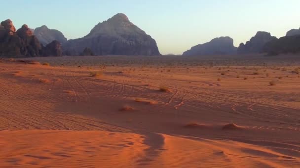 Beautiful View Camels Wadi Rum Desert Hashemite Kingdom Jordan Also — Vídeo de stock