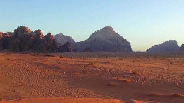 Prachtig Uitzicht Kamelen Wadi Rum Woestijn Het Hasjemitische Koninkrijk Jordanië — Stockvideo