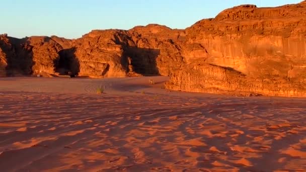 Beautiful View Camels Wadi Rum Desert Hashemite Kingdom Jordan Also — Wideo stockowe