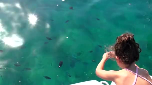 Imagens Cênicas Menina Alimentando Peixes Barco Aquaba Jordânia — Vídeo de Stock