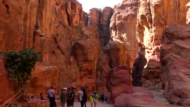 Petra Jordan Circa 2016 Ruins Surroundings Petra Capital Nabataean Arabs — Vídeo de Stock