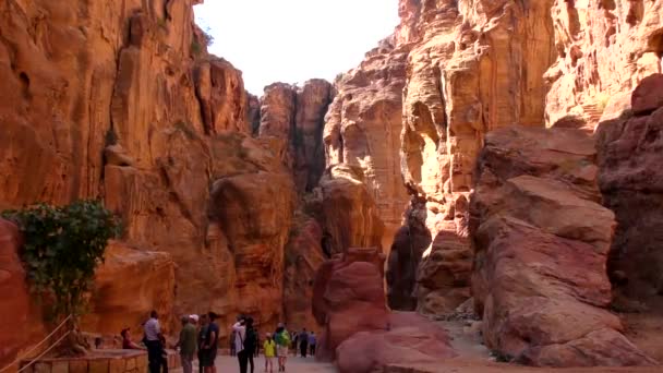 Petra Jordan Circa 2016 Ruins Surroundings Petra Capital Nabataean Arabs — Αρχείο Βίντεο