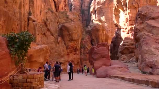 Petra Jordan Circa 2016 Ruins Surroundings Petra Capital Nabataean Arabs — Video Stock