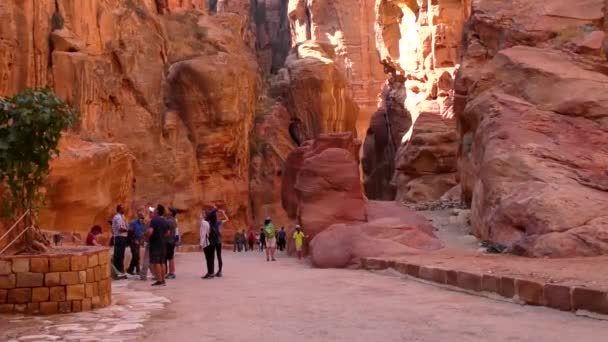 Petra Jordan Circa 2016 Ruins Surroundings Petra Capital Nabataean Arabs — Stock videók