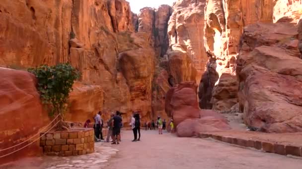 Petra Jordan Circa 2016 Ruins Surroundings Petra Capital Nabataean Arabs — Stockvideo